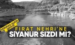 Erzincan'da maden felaketi sonrası Fırat nehrine siyanür karıştı mı? Beklenen açıklama geldi