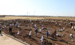 Nurdağı'nda 8 Mart Dünya Kadınlar Günü etkinliği kapsamında 500 fidan toprakla buluştu