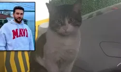 Vahşice katledilen kedi Eros davası yeniden hakim karşısında! Hakim kararını verdi