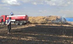 Biçerdöver hasat yaparken sıçrayan kıvılcımlar tarlayı küle çevirdi