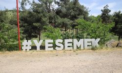 Yesemek’te sulama kanalı inşaatını durdurma kararına karşı istinaf başvurusu reddedildi
