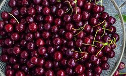 Gaziantep’te Kiraza İklim Değişikliği Darbesi!