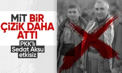 Son Dakika: PKK'lı Sedat Aksu etkisiz hale getirildi