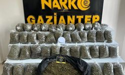 Gaziantep’te 56 kilo esrar ele geçirildi