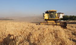 Gaziantep’te arpa ve buğday hasadı başladı