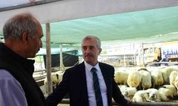 Şahinbey Belediyesinden vatandaşın bütçesini düşünen kurbanlık uygulaması