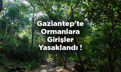 Gaziantep'te ormana girişler 29 Eylül'e kadar yasaklandı