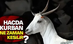 Hacda kurban ne zaman kesilir?