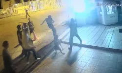 Güvenlik görevlisine ve köpeğe saldıran 4 yabancı uyruklu şüpheli tutuklandı