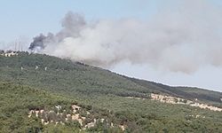 Son dakika... Gaziantep'te çıkan orman yangınına müdahale ediliyor