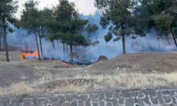 Gaziantep’te korkutan orman yangını