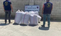 Gaziantep'te 1,5 ton Antep fıstığının çalınmasıyla ilgili 1 şüpheli yakalandı