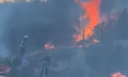 Gaziantep'te ormanlık ve makilik alanda çıkan yangın söndürüldü