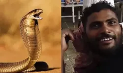 Yılan onu o da yılanı ısırdı! Hindistan’da bir adam kendisini ısıran yılanı iki kez ısırıp öldürdü