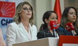 CHP Kadın Kolları Genel Başkanlığı’na Asu Kaya seçildi