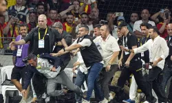 Göztepe - Fenerbahçe maçının faturası belli oldu! PFDK kararları açıklandı