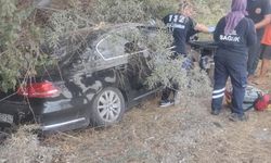 Konya’da otomobil yol kenarındaki ağaçlara çarptı: 1 ölü, 1 yaralı