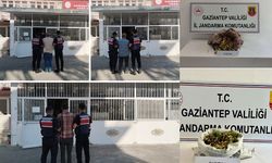 Gaziantep'te fıstık çalan 6 şüpheli yakalandı