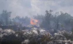 Gaziantep'te ormanlık alanda çıkan yangına müdahale ediliyor