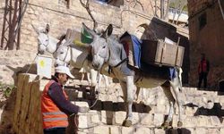 Mardin'de çöp taşıyan eşeklere "emeklilik" yolu gözüktü