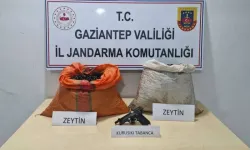 Gaziantep'te zeytin hırsızları yakayı ele verdi