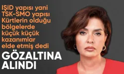 Özlem Gürses'e "halkı yanıltıcı bilgiyi alenen yayma" suçundan gözaltı