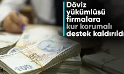 Merkez Bankası döviz yükümlülüğü olan firmalara Kur Korumalı Mevduat desteğini kaldırdı