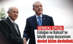 Selahattin Demirtaş'tan Cumhurbaşkanı Erdoğan ve Bahçeli'ye övgüler