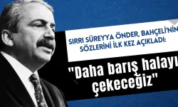 Sırrı Süreyya Önder'den Devlet Bahçeli'nin tarihi çıkışıyla ilgili açıklama