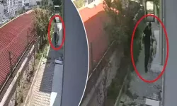Sahiplenme bahanesiyle evine aldığı köpekleri öldürdüğü iddia eden şüphelinin ifadesi ortaya çıktı