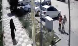 Gaziantep'te başıboş köpekler anne ve kızına saldırdı!