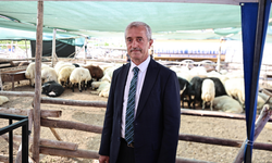 Başkan Tahmazoğlu'ndan Kurban Bayramı açıklaması! "Fahiş fiyat artışına müsaade etmeyeceğiz"