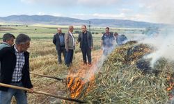 Asırlık gelenek devam ediyor: Araban Ovası’nda firik hasadı başladı