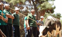 Gaziantep'te kurban yakalama timi bayrama hazır