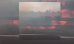 Gaziantep'te konteyner alevler içinde kaldı