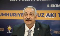 Eski il başkanı Çetin'den 'Siyasi eşşek' çıkışı! Kimleri kastetti?