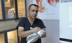 Kliniğinde tedavi ettiği sahipsiz hayvanları sahiplendiriyor