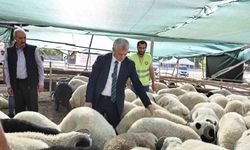 Tahmazoğlu kurban fiyatlarını açıkladı