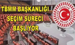 TBMM Başkanlığı seçim süreci başlıyor
