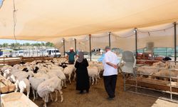 Şahinbey’de kurban satış ve kesim yerleri belirlendi