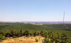 Gaziantep'te mesire alanlarında mangal yakmak yasaklandı