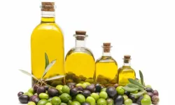 Nizip zeytinyağına "4. Uluslararası Sofralık Zeytin ve Naturel Sızma Zeytinyağı Kalite Yarışması"nda ödül