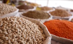 Güneydoğu'dan ABD'ye ilk 5 ayda 132,9 milyon dolarlık hububat, bakliyat, yağlı tohum ihraç edildi