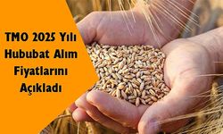 TMO 2025 hububat alım fiyatlarını açıkladı