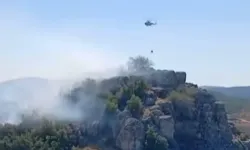 Gaziantep'te makilik ve ormanlık alanda çıkan yangın kontrol altına alındı