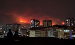 Bursa’daki orman yangını şehir merkezinden böyle görüntülendi