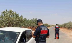 Gaziantep'te fıstık hırsızlığına karşı sıkı denetim