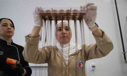 Gaziantep'te kadınlar çikolata üretiyor