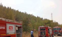 Nizip'te mesire alanında korkutan yangın