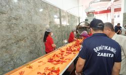 Şehitkamil’den salça denetimi